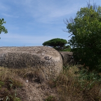 Photo de France - La randonnée de la Tamarissière